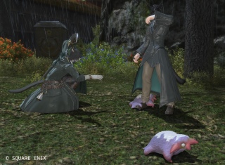 FF14